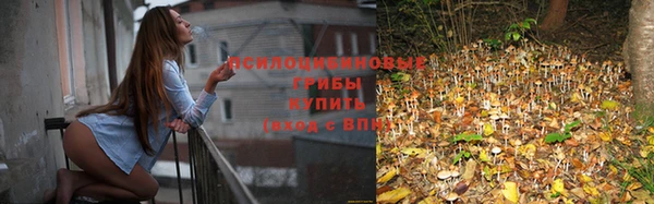 герыч Козловка