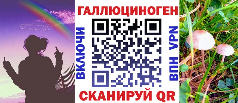 Купить  Сураж  Галлюциногенные грибы Psilocybine cubensis 